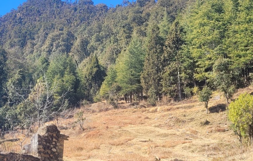 Kartikey Buransh Hotel