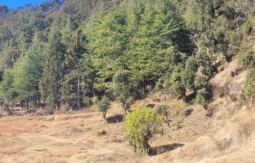 Kartikey Buransh Hotel