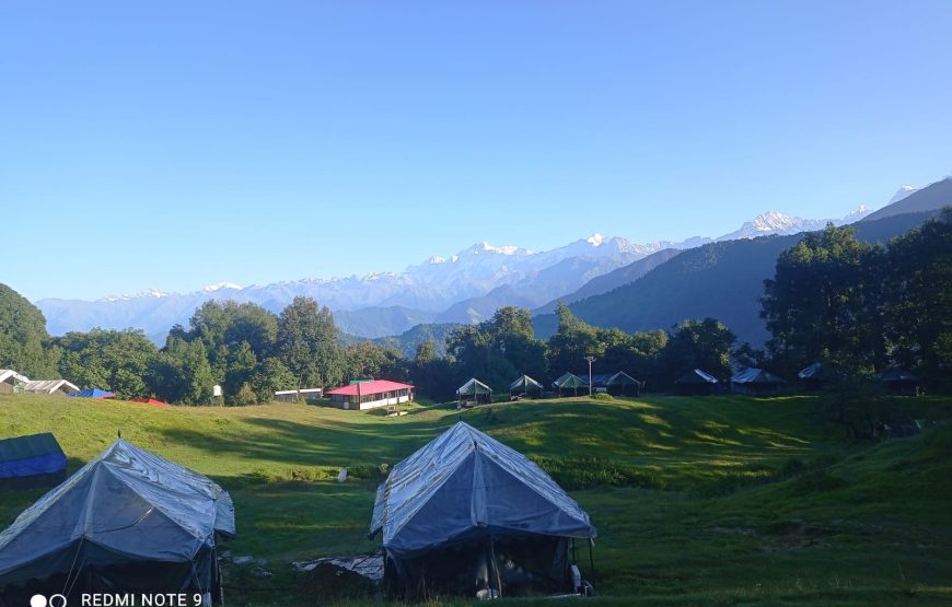 Chopta Buzz Eco Camp & Resort