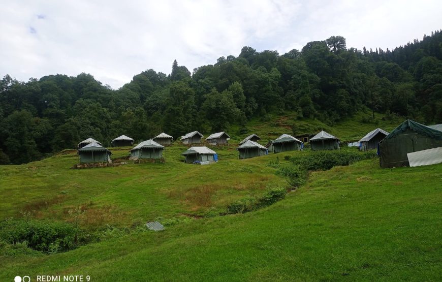 Chopta Buzz Eco Camp & Resort