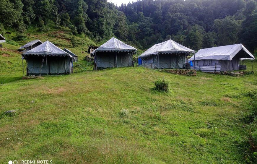 Chopta Buzz Eco Camp & Resort