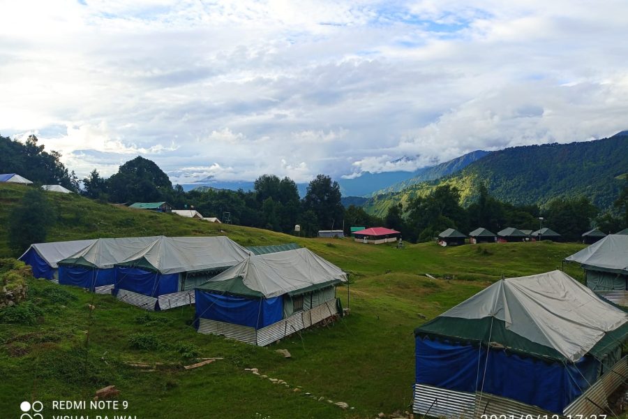 Chopta Buzz Eco Camp & Resort