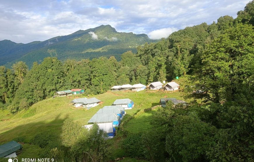 Chopta Buzz Eco Camp & Resort
