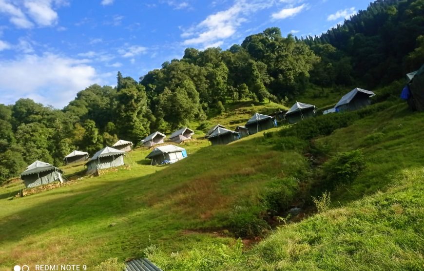 Chopta Buzz Eco Camp & Resort