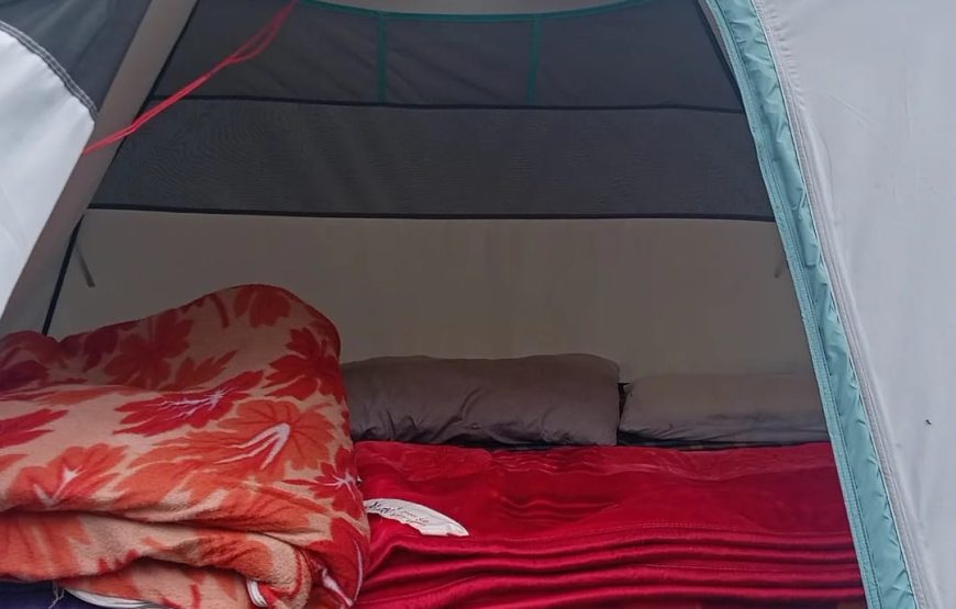 Royal Green Tent House