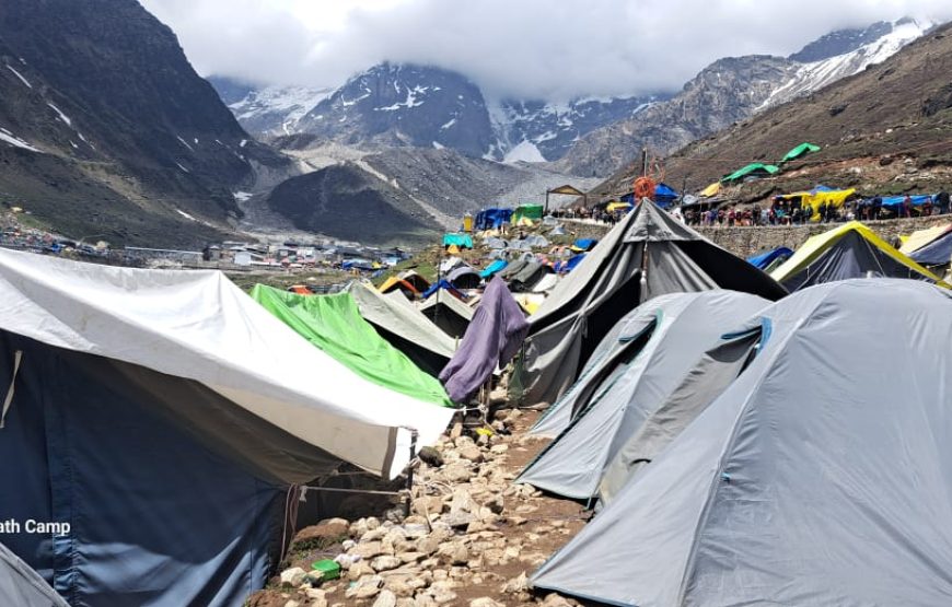 Royal Green Tent House