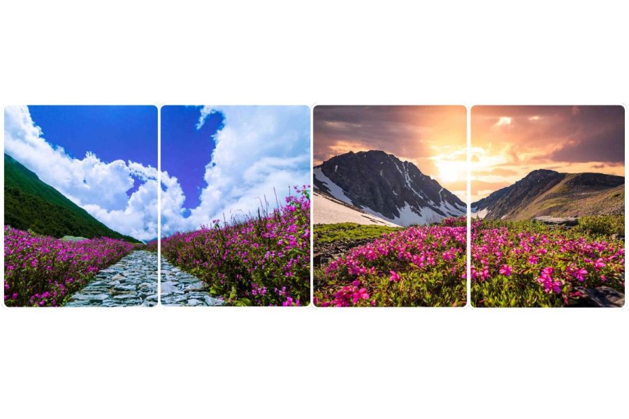 Valley of Flowers Trek Package – A Paradise in the Himalayas